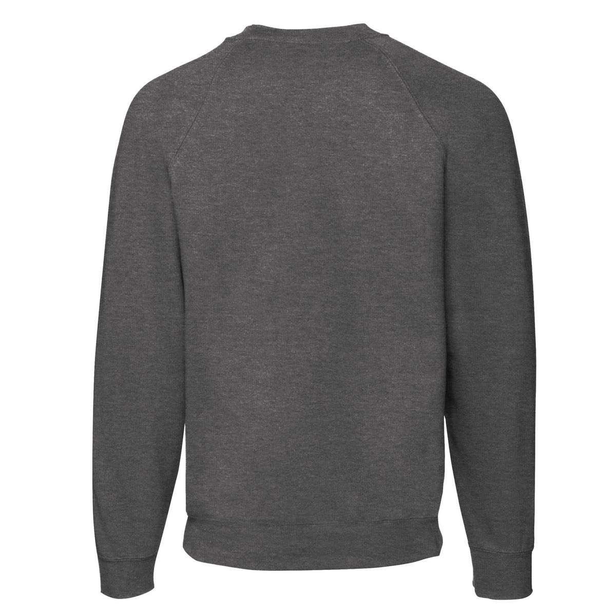 Sweatshirt mit Raglanärmeln und Rundhalsausschnitt