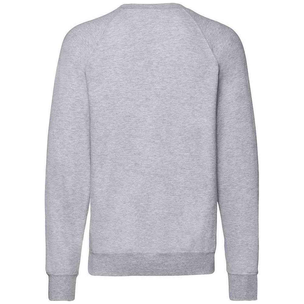 Raglan-Sweatshirt mit Rundhalsausschnitt