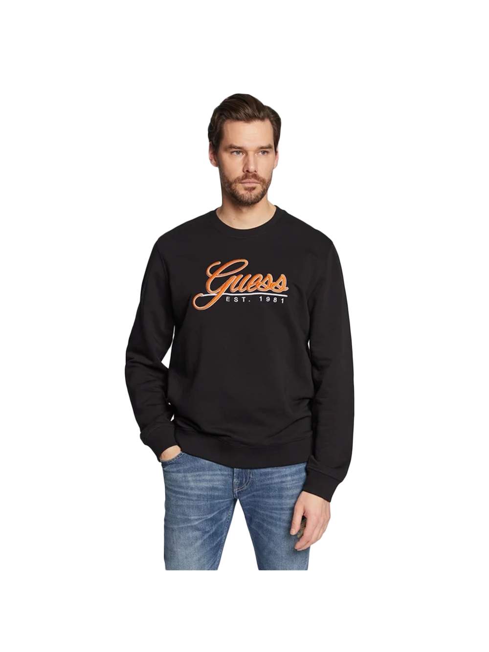 Herren Langarm Logo Sweatshirt