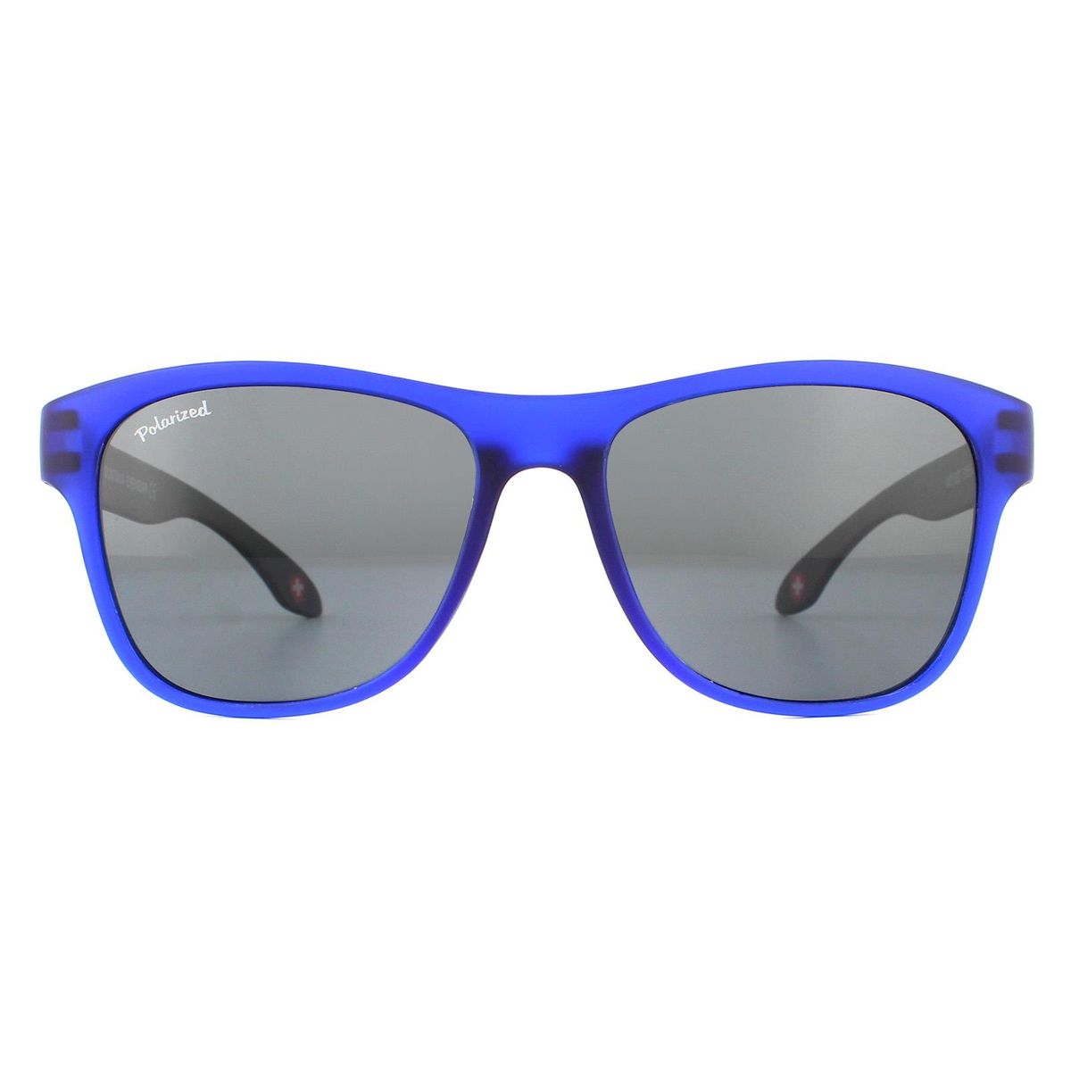 Moderne polarisierte Sonnenbrille mit blauem Rahmen