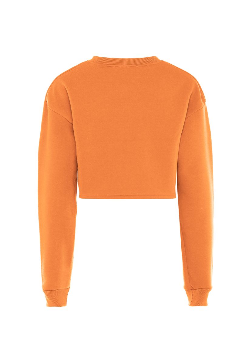 Kurz geschnittenes Sweatshirt mit Rundhalsausschnitt