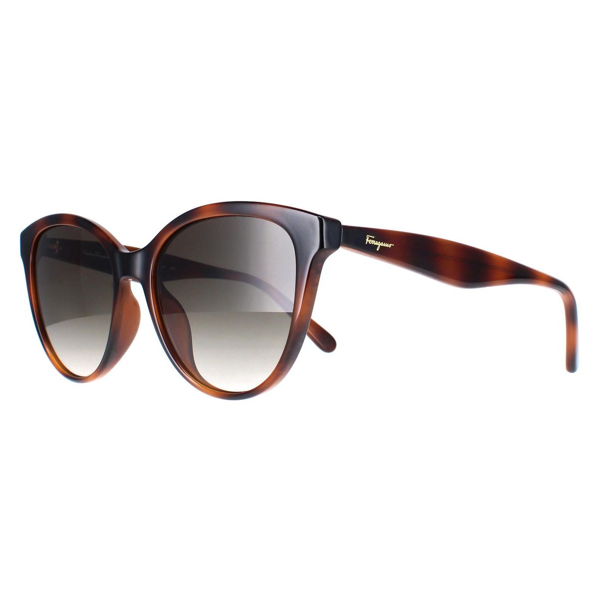 Elegantes Cat-Eye-Modell mit Farbverlauf
