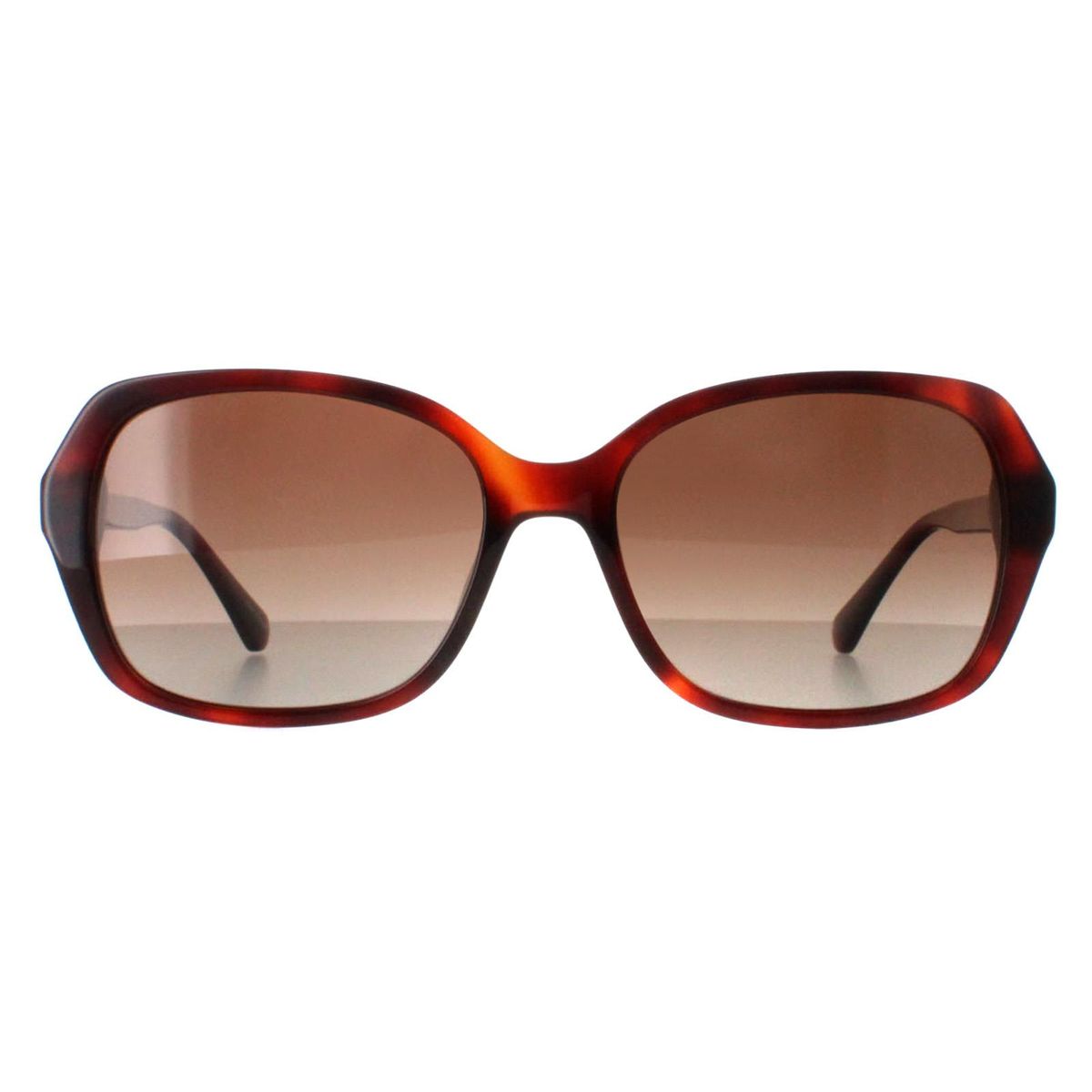 Braune Schildpatt-Schmetterlings-Sonnenbrille