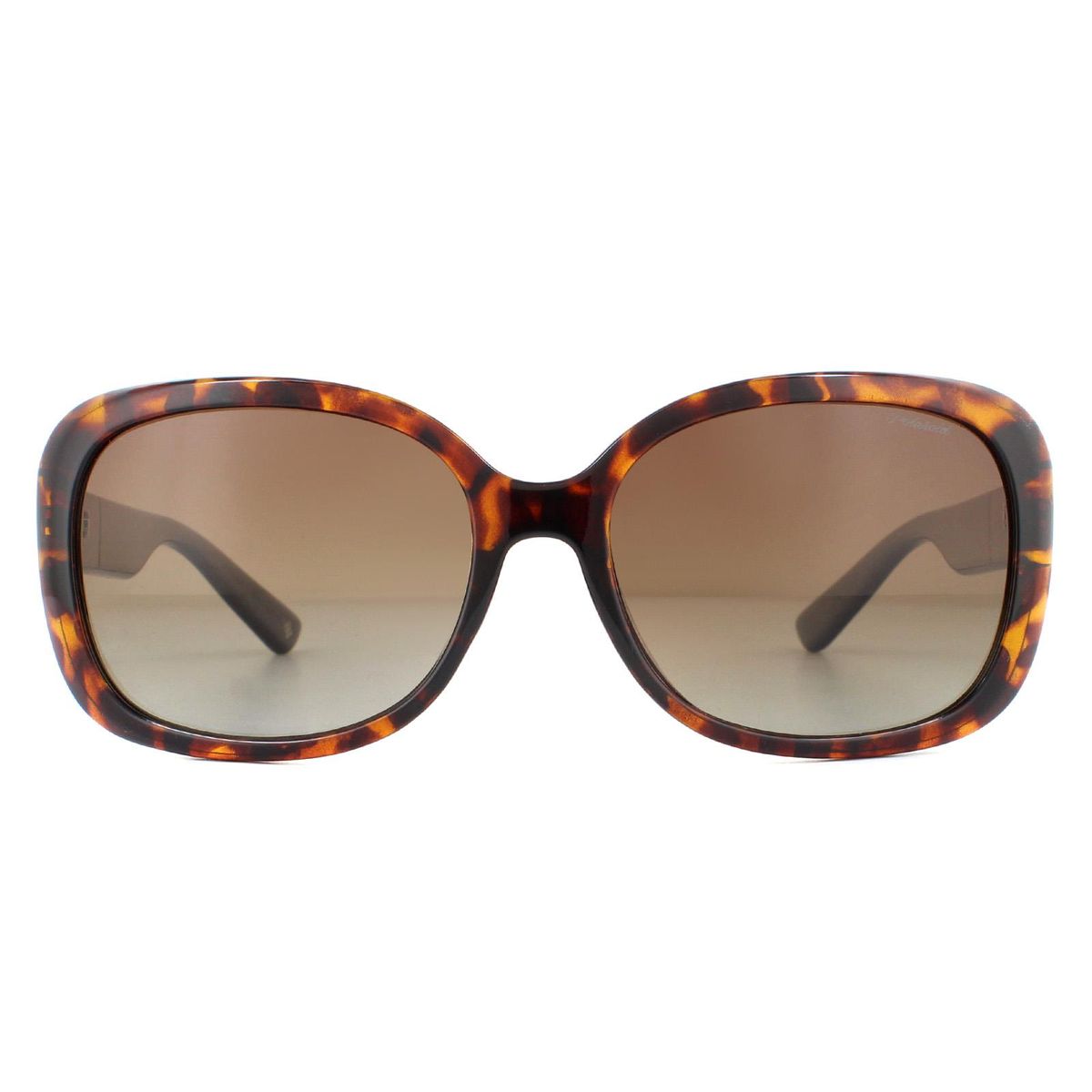 Übergroße Havana Braune Verlauf Sonnenbrille