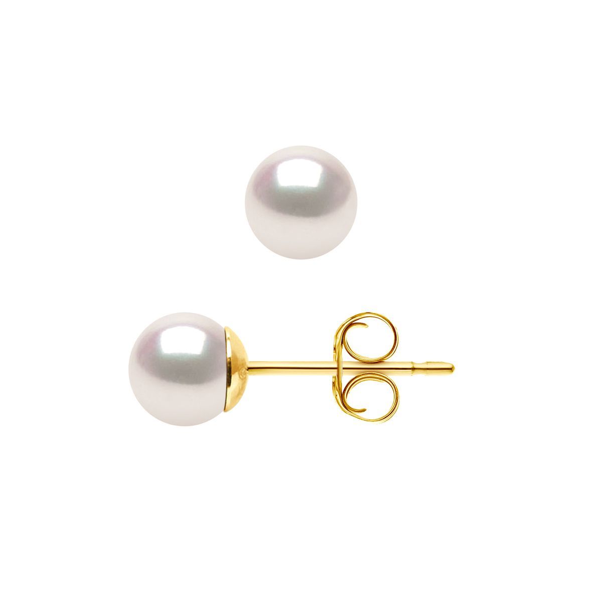Akoya Zuchtperle Ohrstecker Gold
