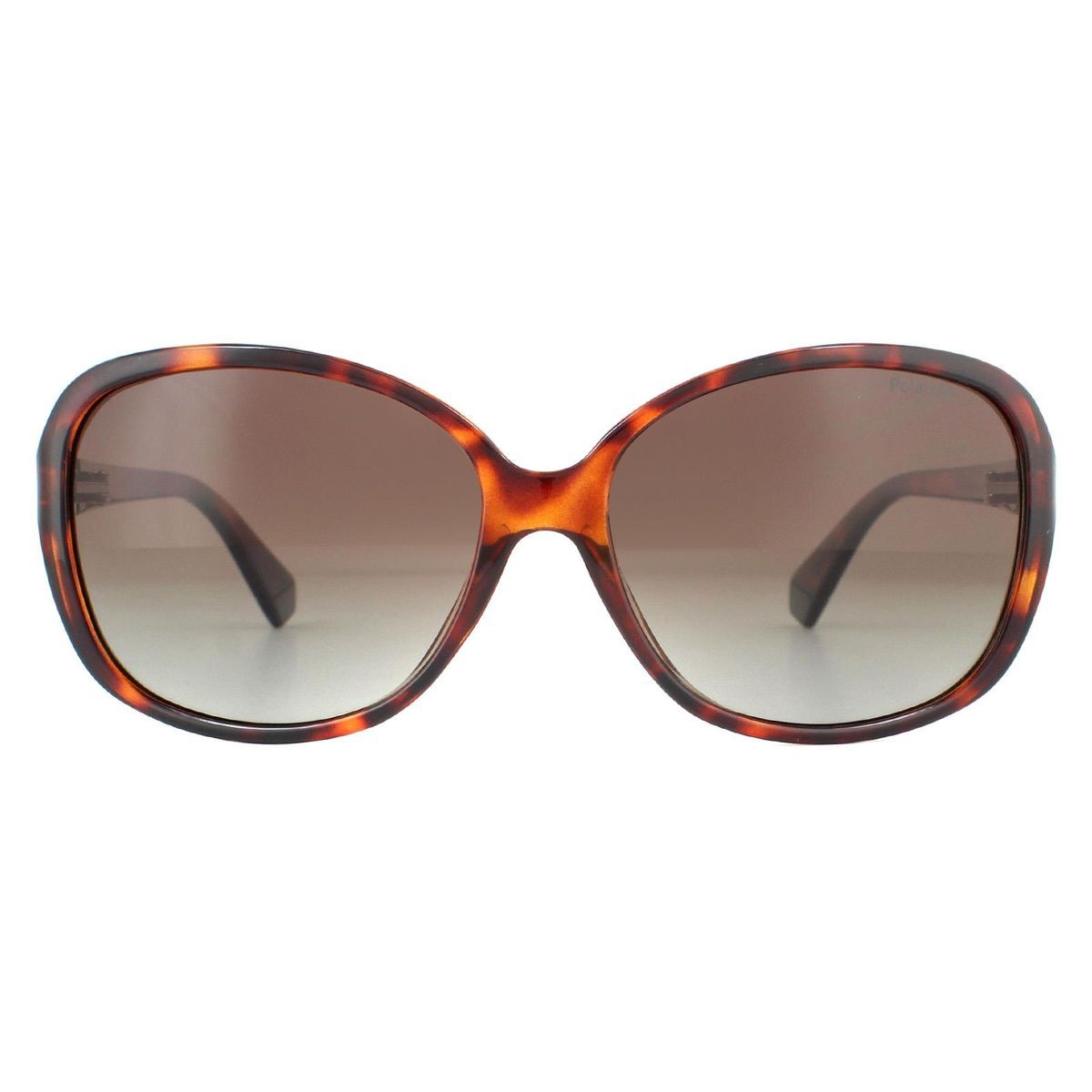 Übergroße Havana Braun Verlauf Sonnenbrille