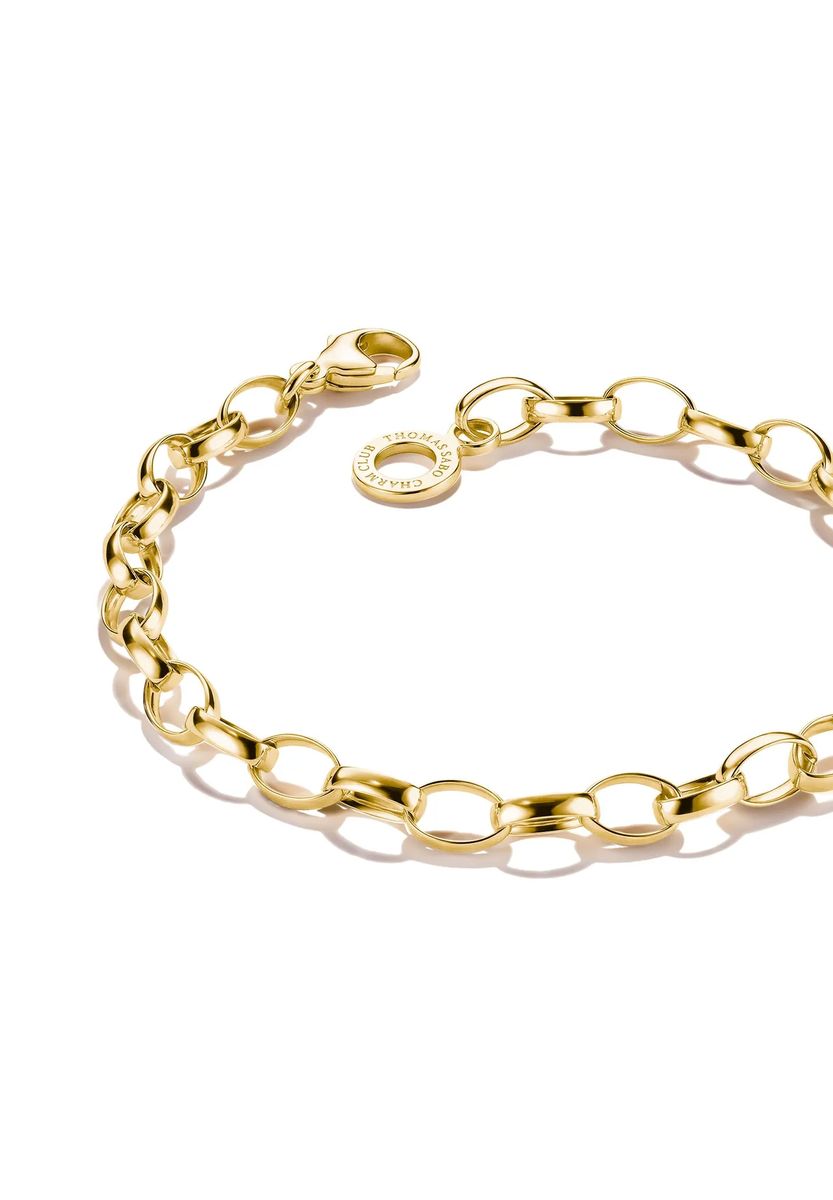 Klassisches vergoldetes Charm-Träger Armband
