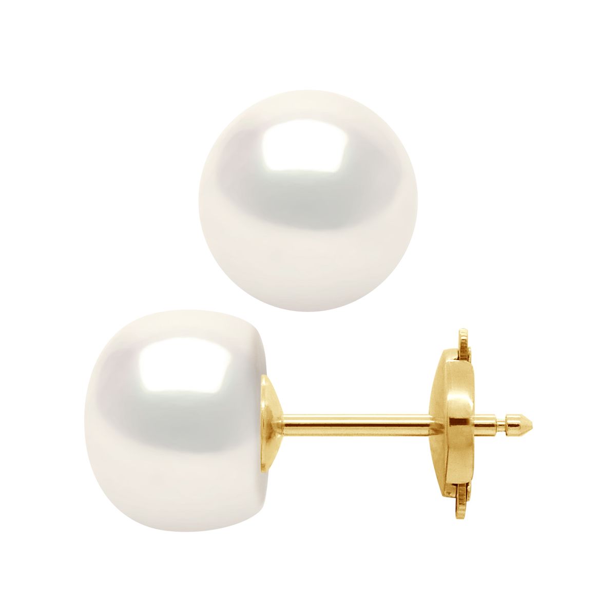 Süßwasserperlen Ohrstecker in Gelbgold