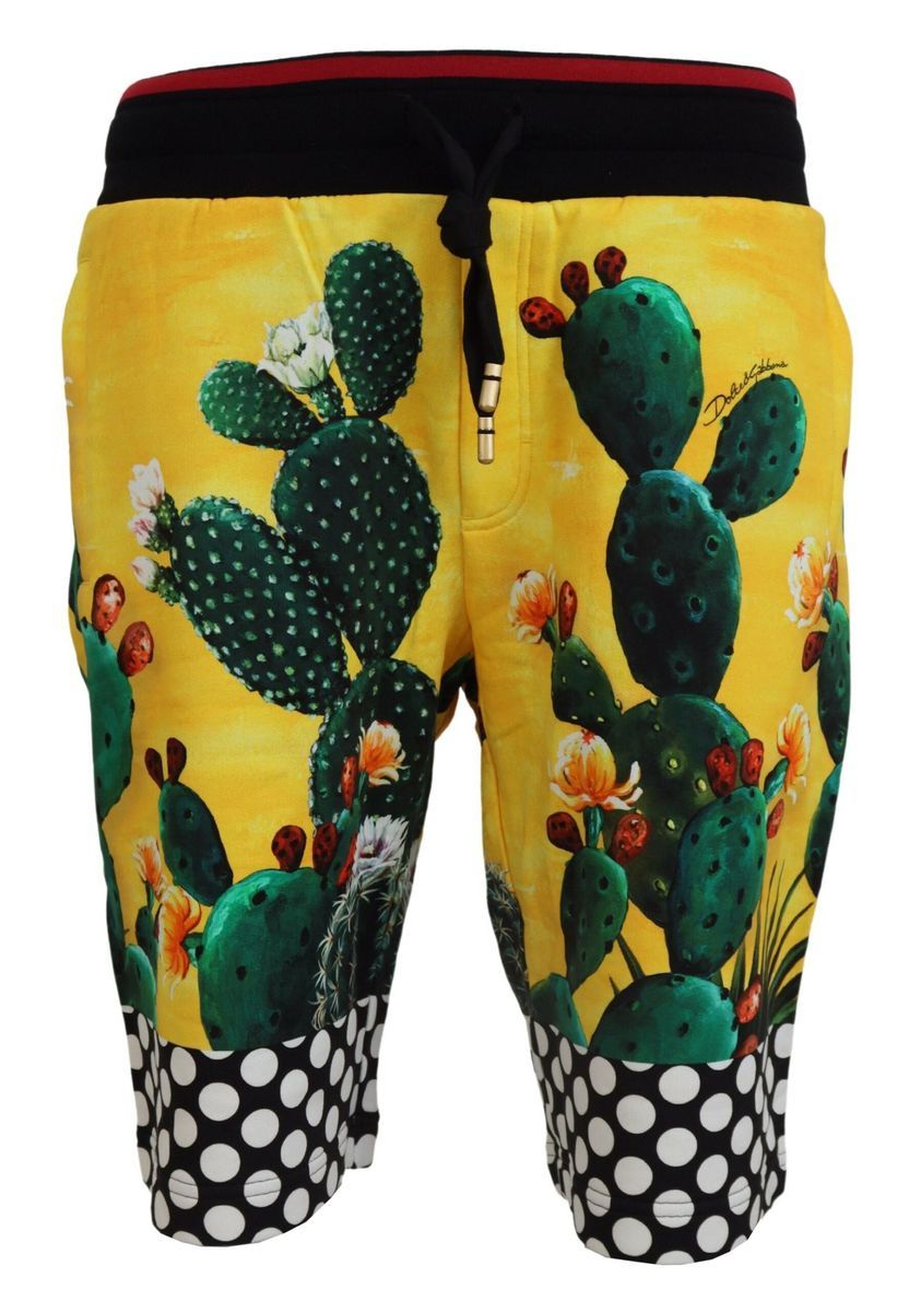 Shorts aus Baumwolljersey mit Kaktusprint