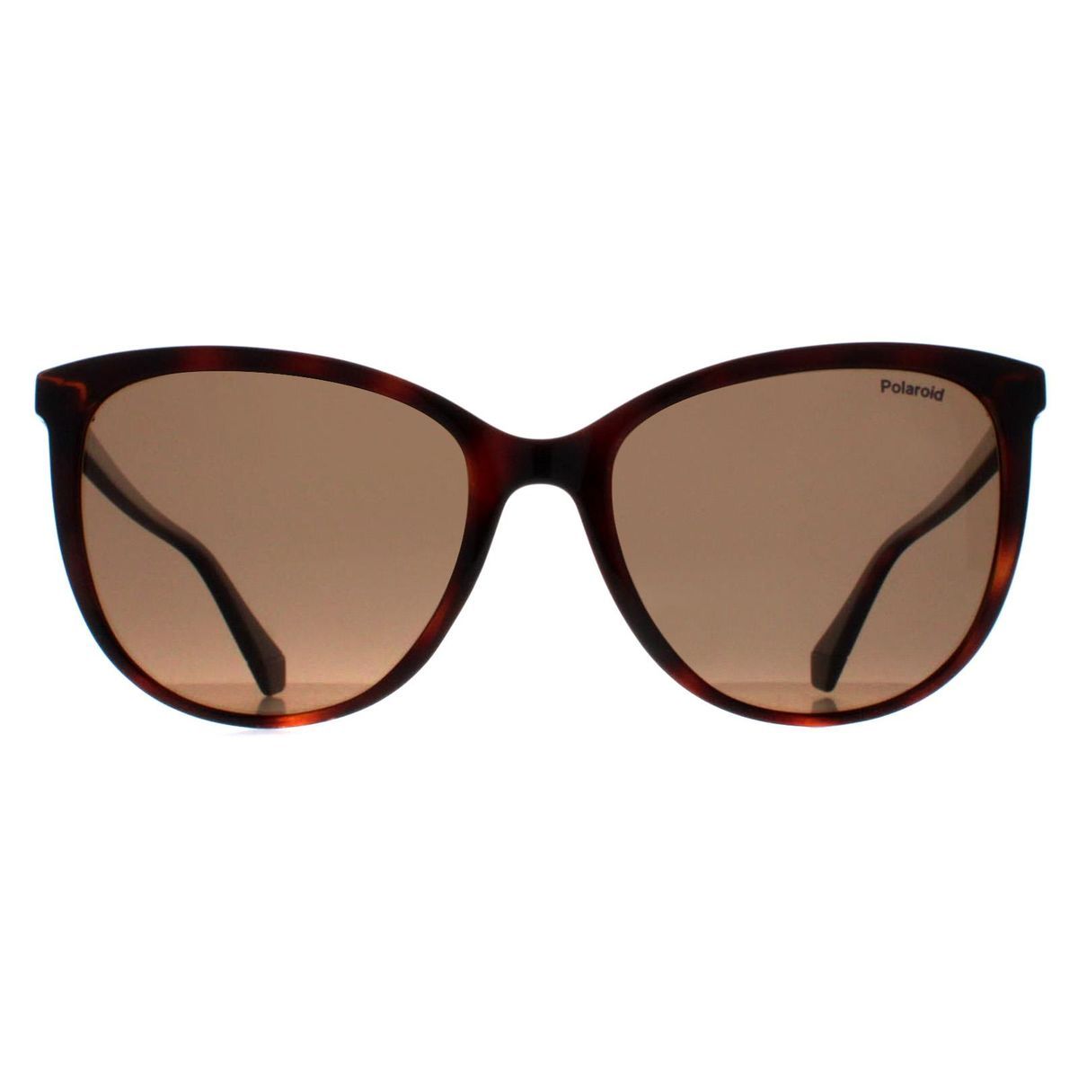 Katzenaugen Havana Braun polarisierte Sonnenbrille