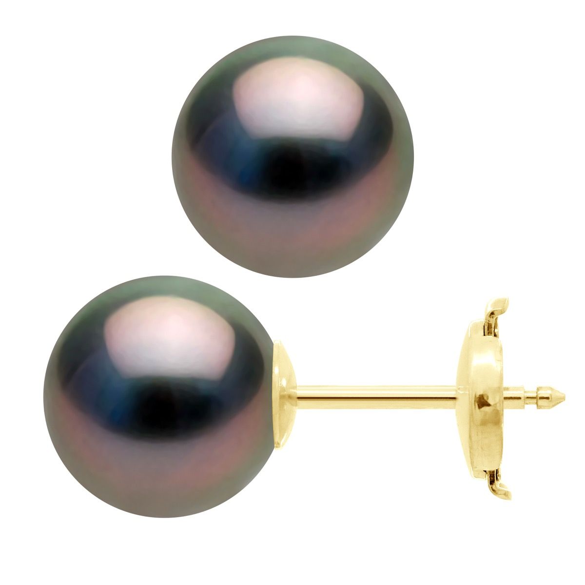 Tahitiperlen Ohrstecker Gelbgold
