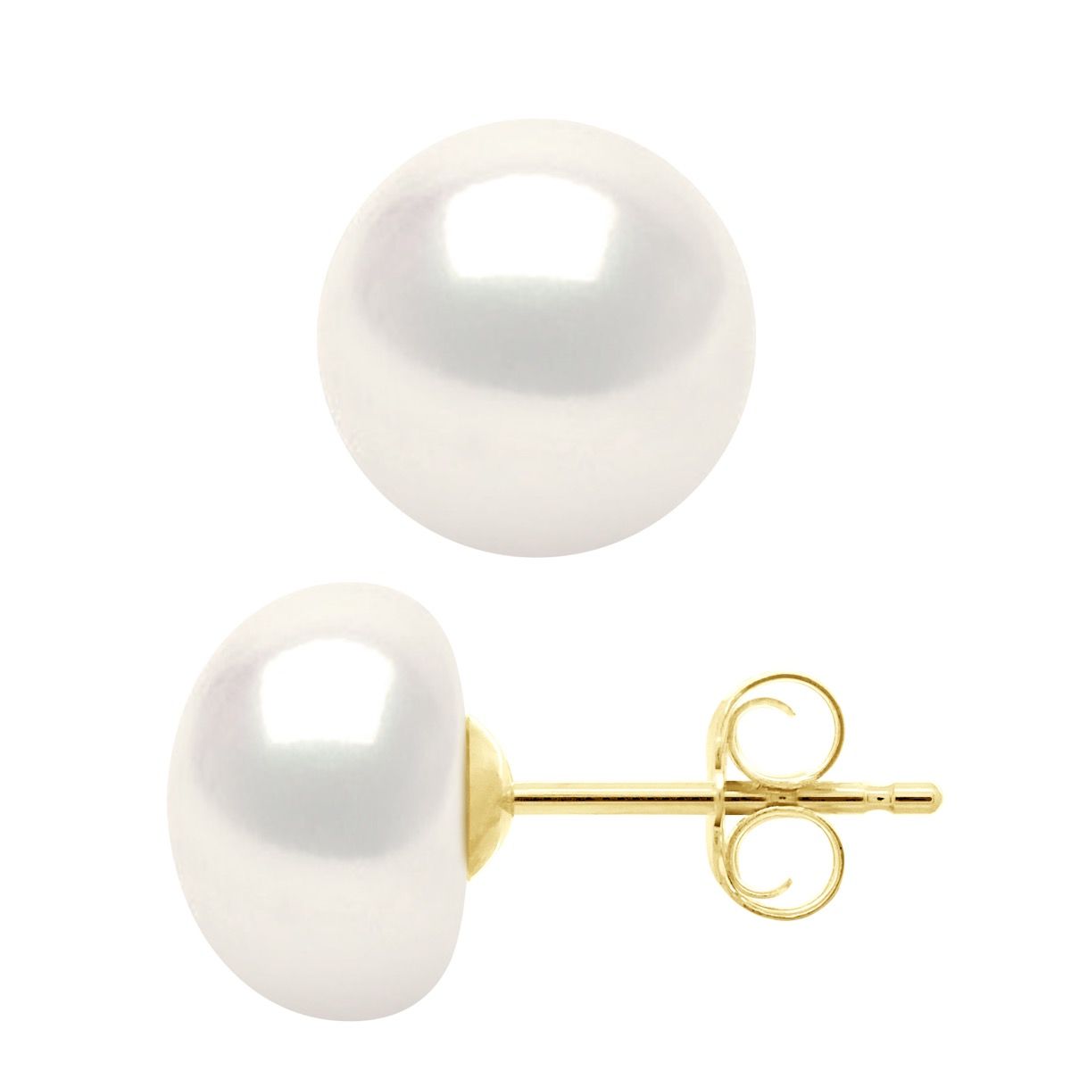 Süßwasserperlen Ohrstecker in Gold
