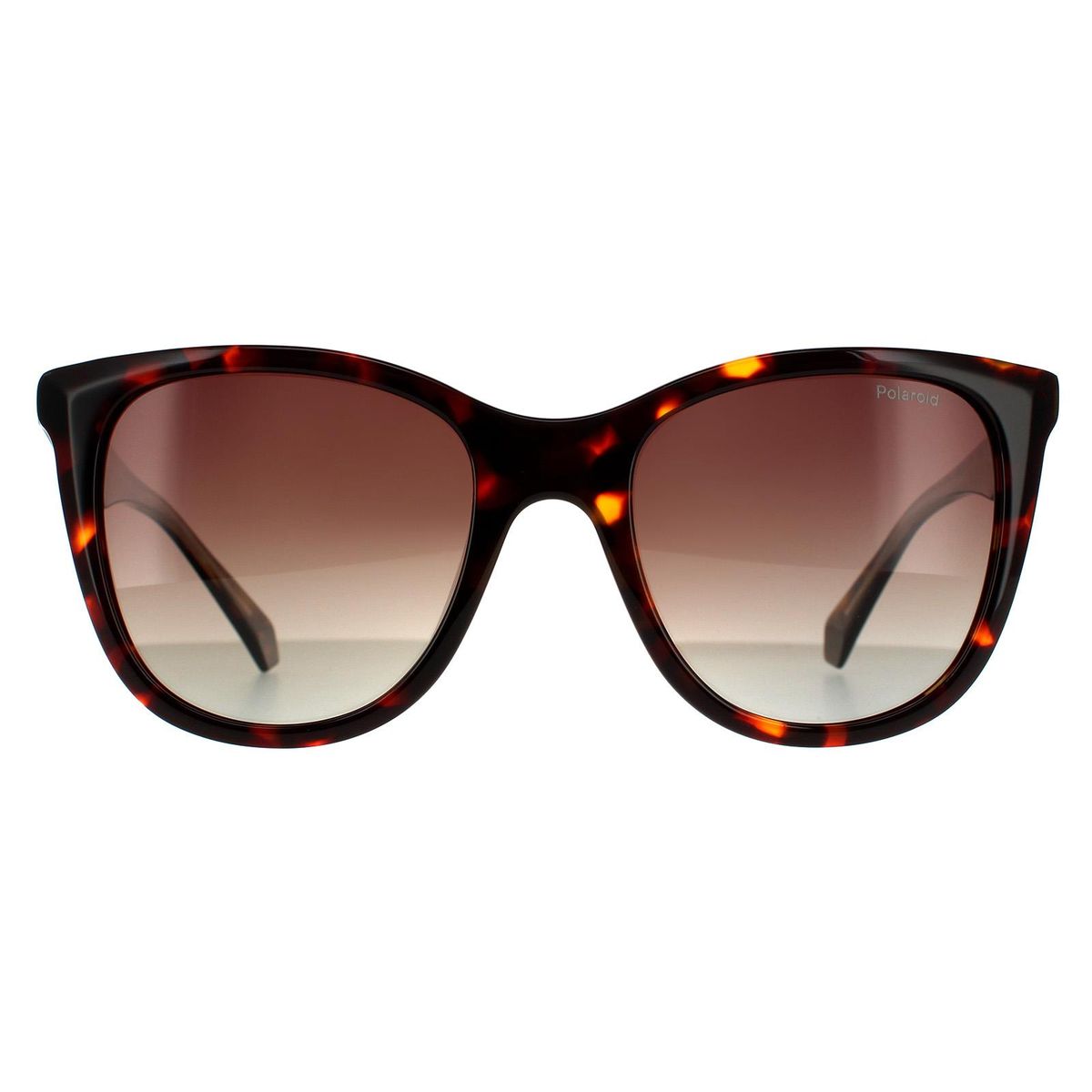 Quadratische Havana Braun Gradient Sonnenbrille