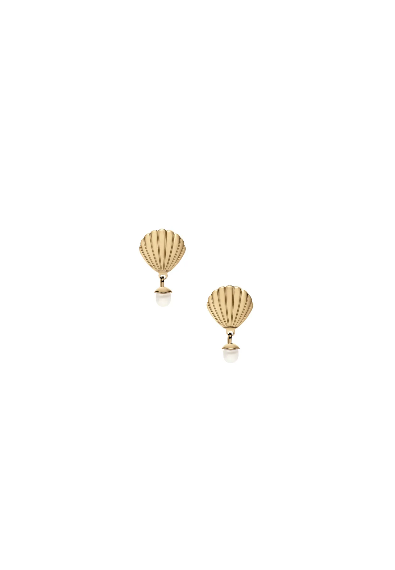 Goldfarbene Muschel Ohrstecker
