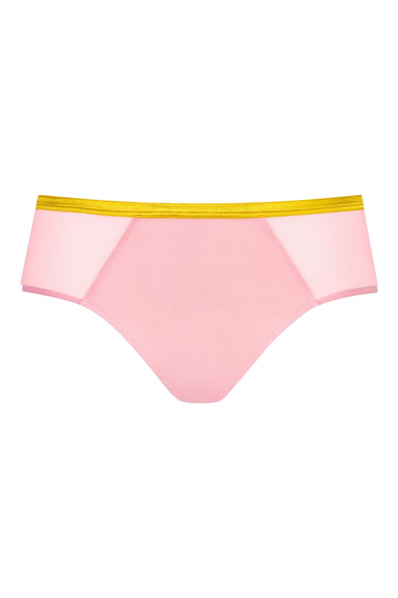Hipster-Slip mit transparenten Einsätzen
