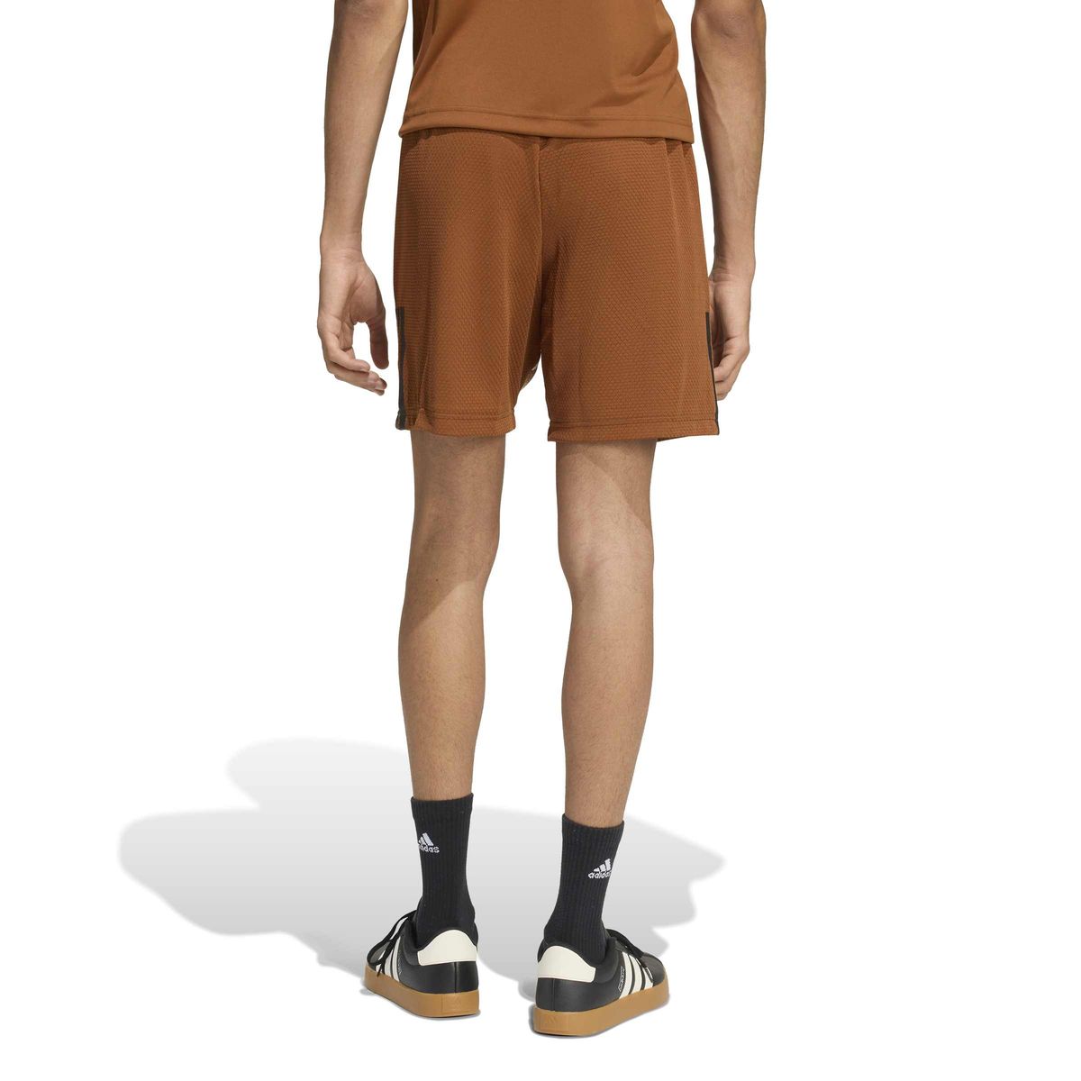 Herren House of Tiro Piqué Shorts