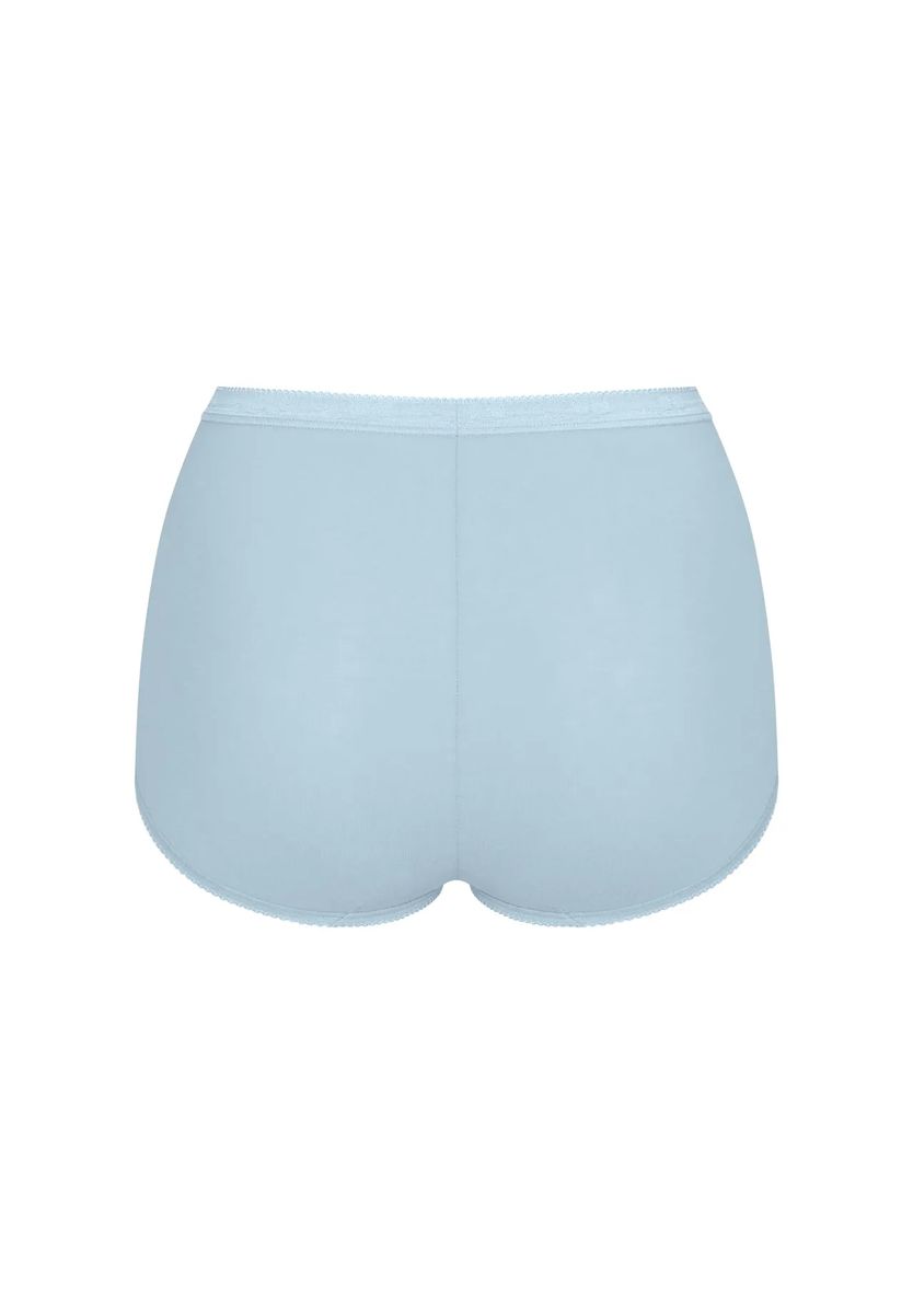 Klassische Maxi-Slip Unterwäsche