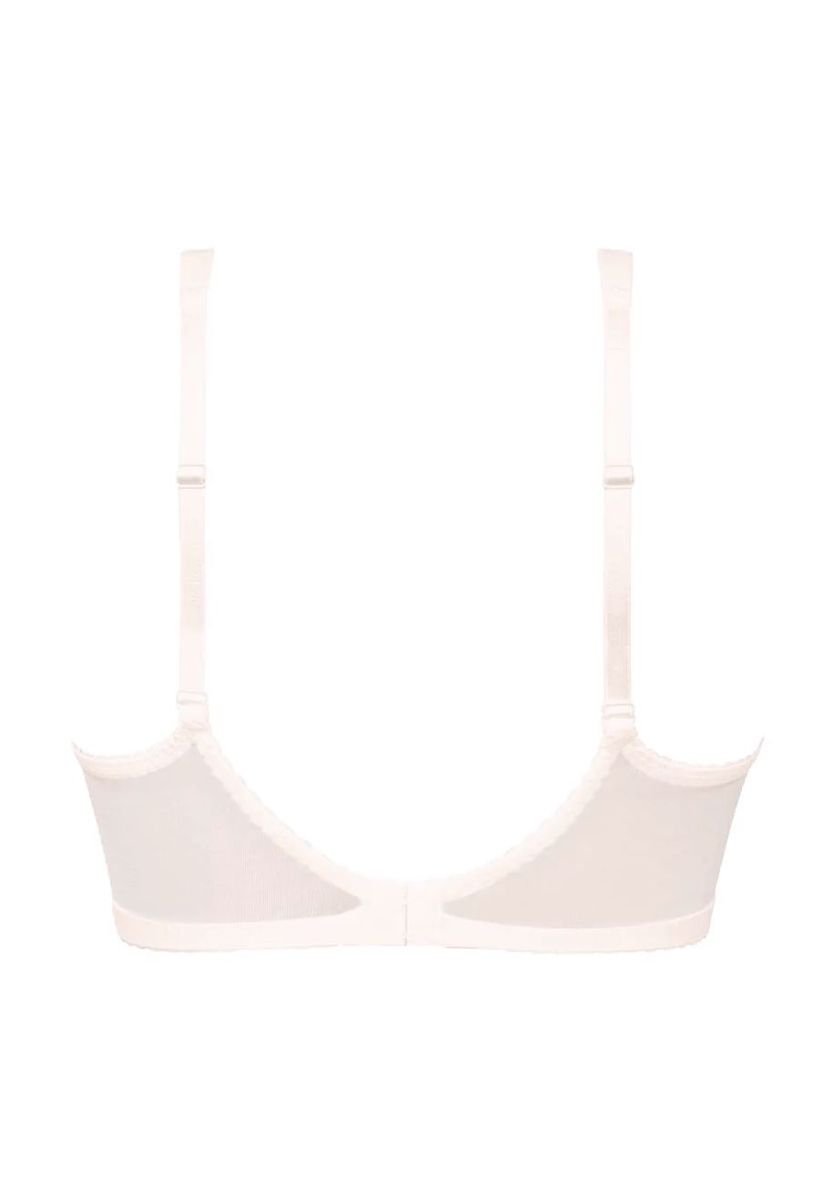 BH mit Bügel und Spitzenbesatz