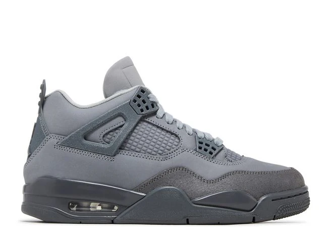 Air Jordan 4 Retro SE 'Paris'