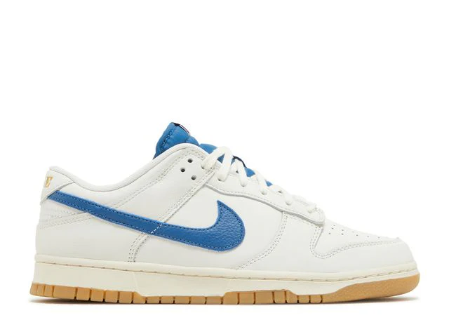 Dunk Low SE Retro Sneaker
