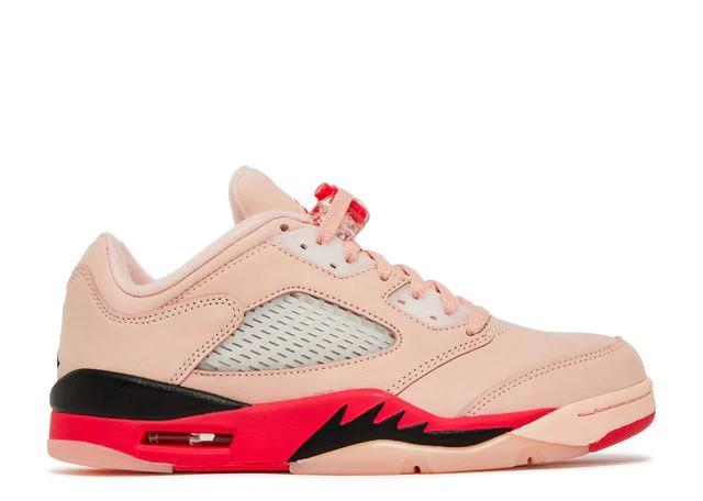Air Jordan 5 Retro Low
