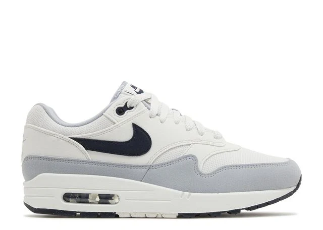 Air Max 1 Platinum Tint Obsidian