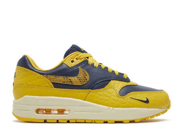 Air Max 1 Michigan Head to Head