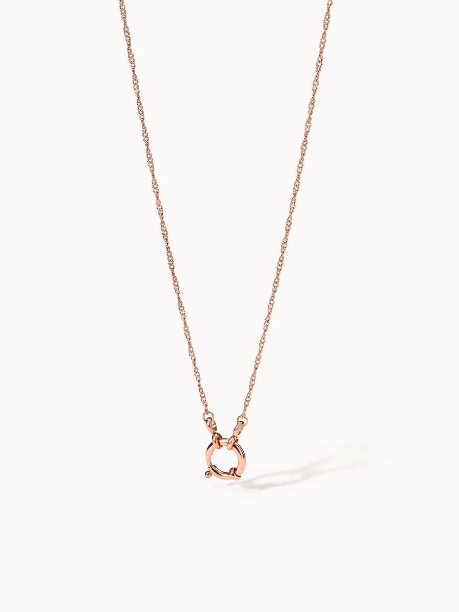 Zarte goldene Charm-Halskette