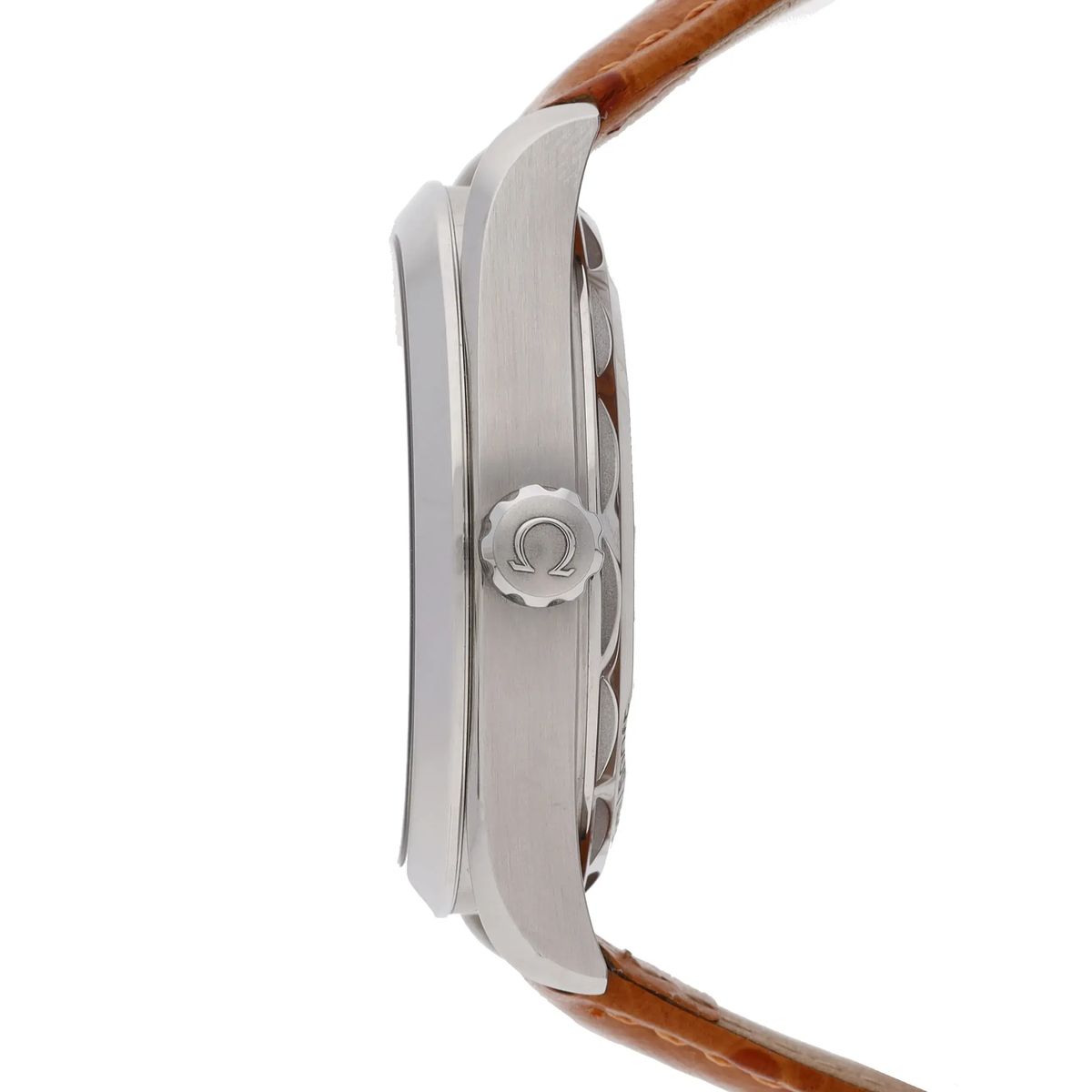 Silberne Aqua Terra Co-Axial Uhr