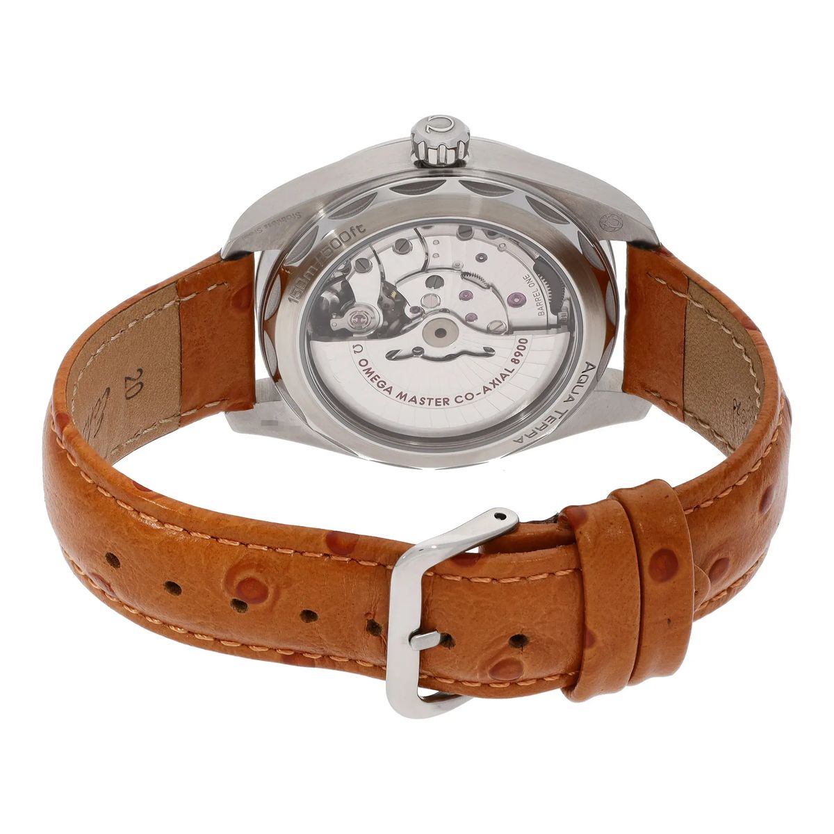 Silberne Aqua Terra Co-Axial Uhr