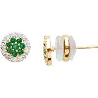 US Polo Assn Jewellery Celine Gelbgold-Ohrringe