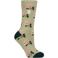 RHS Botanisches Rosen-Thermo-Modell