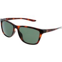 Polarisiertes eckiges Wayfarer-Modell