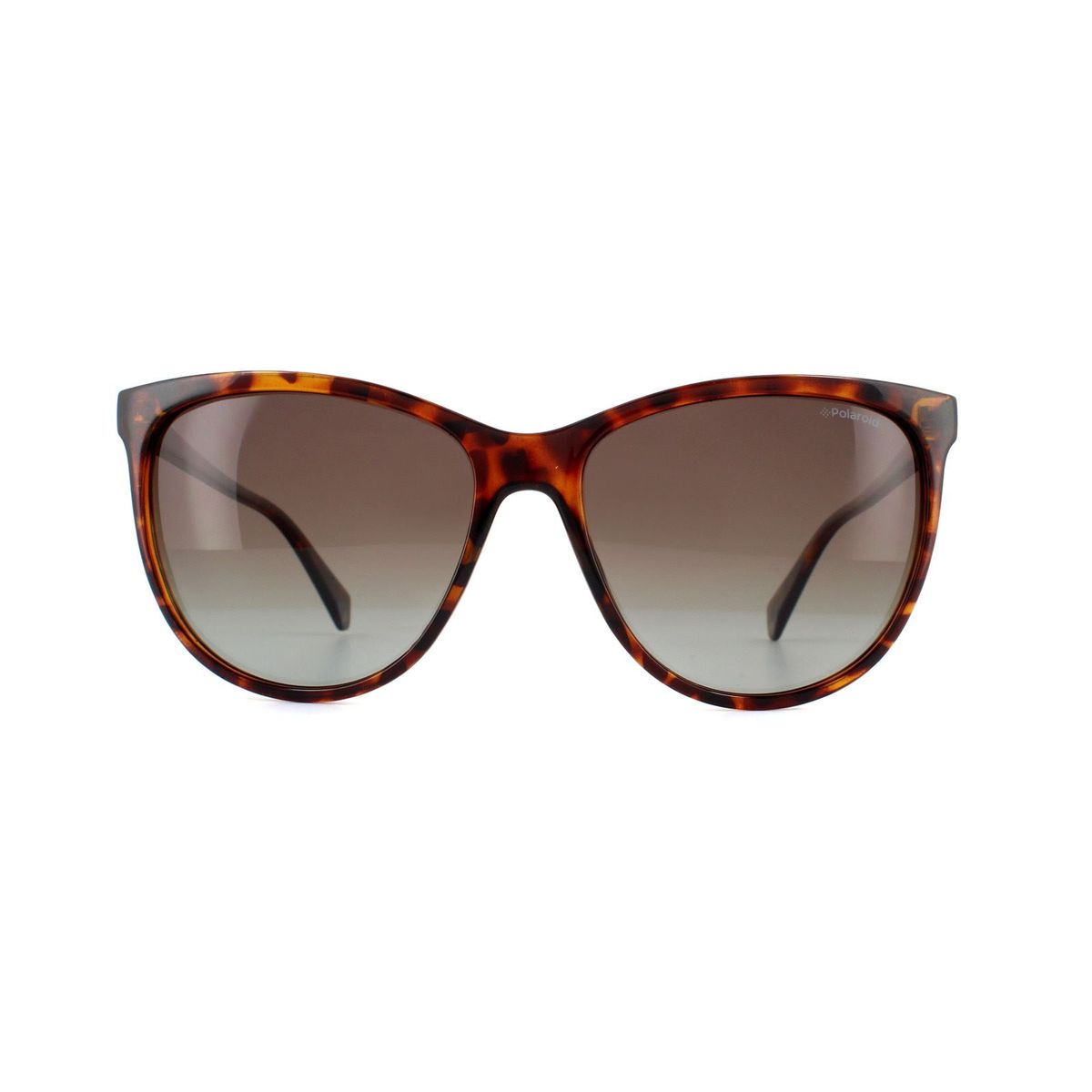Oversized Cateye-Sonnenbrille in Schildpatt-Optik