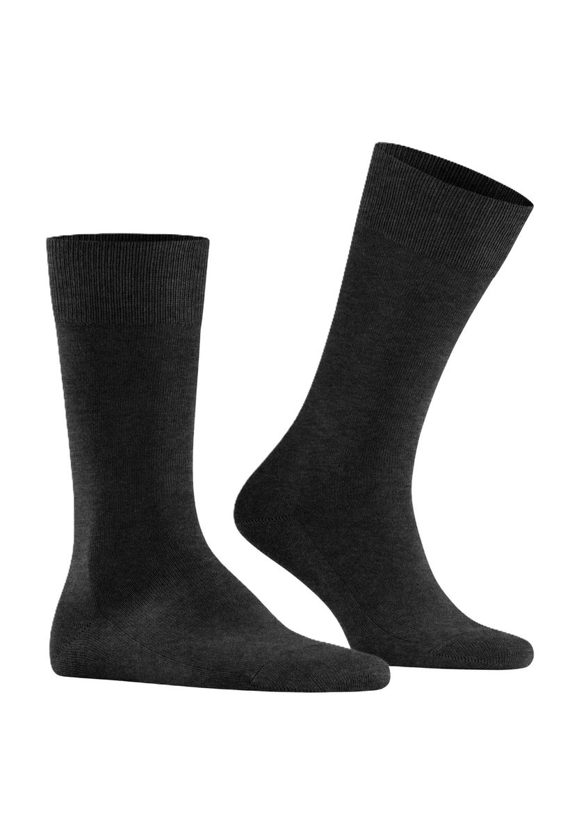 Nachhaltige Baumwollsocken für jeden Tag