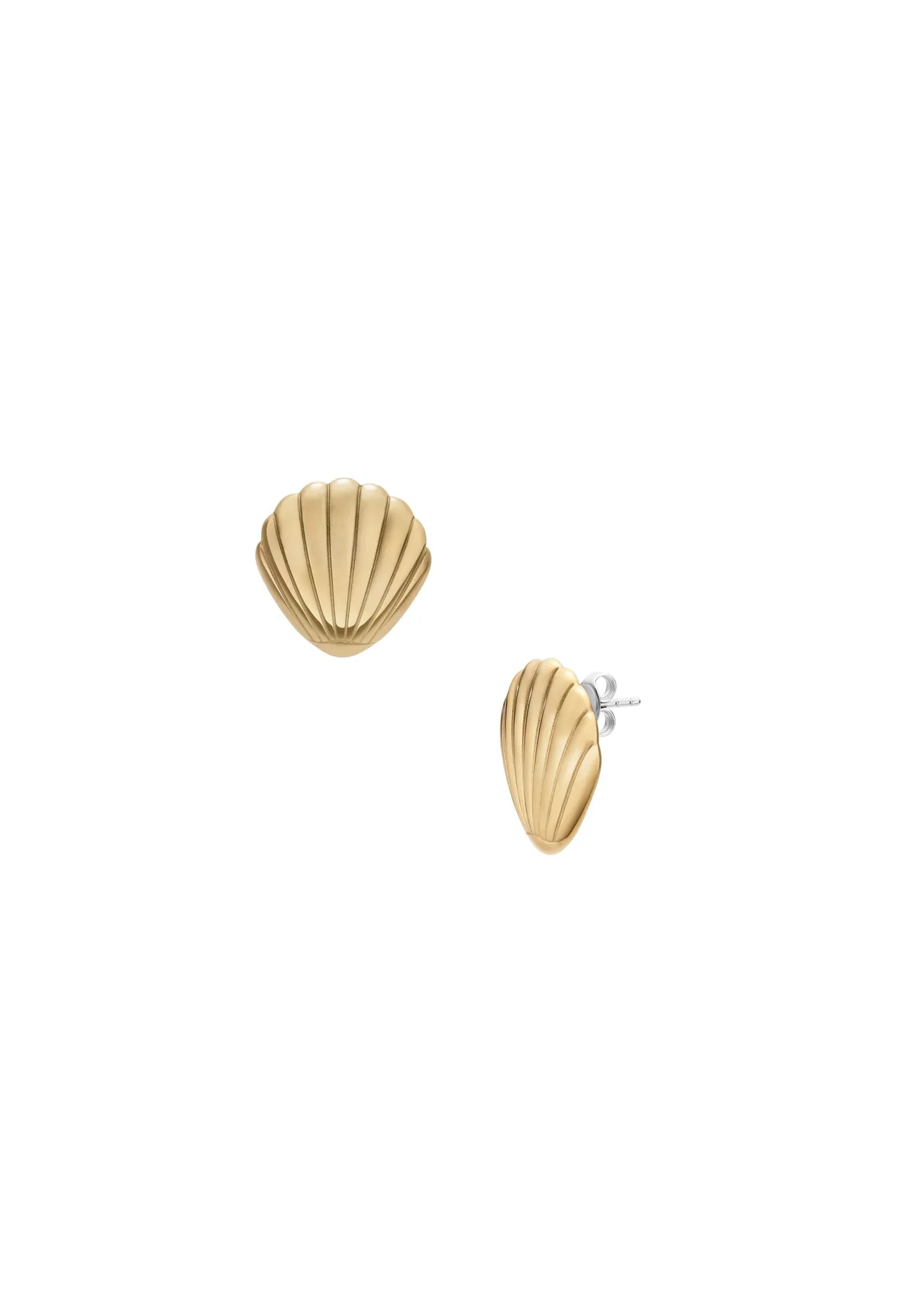 Elegante Muschel-Ohrstecker aus Edelstahl