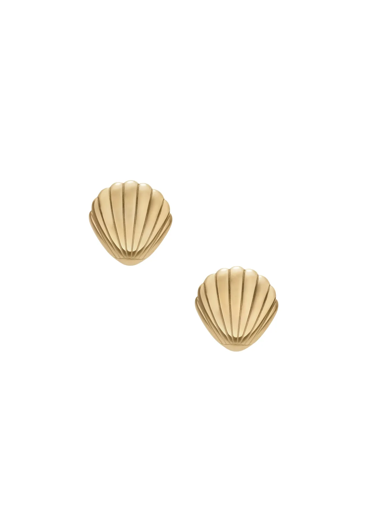 Elegante Muschel-Ohrstecker aus Edelstahl