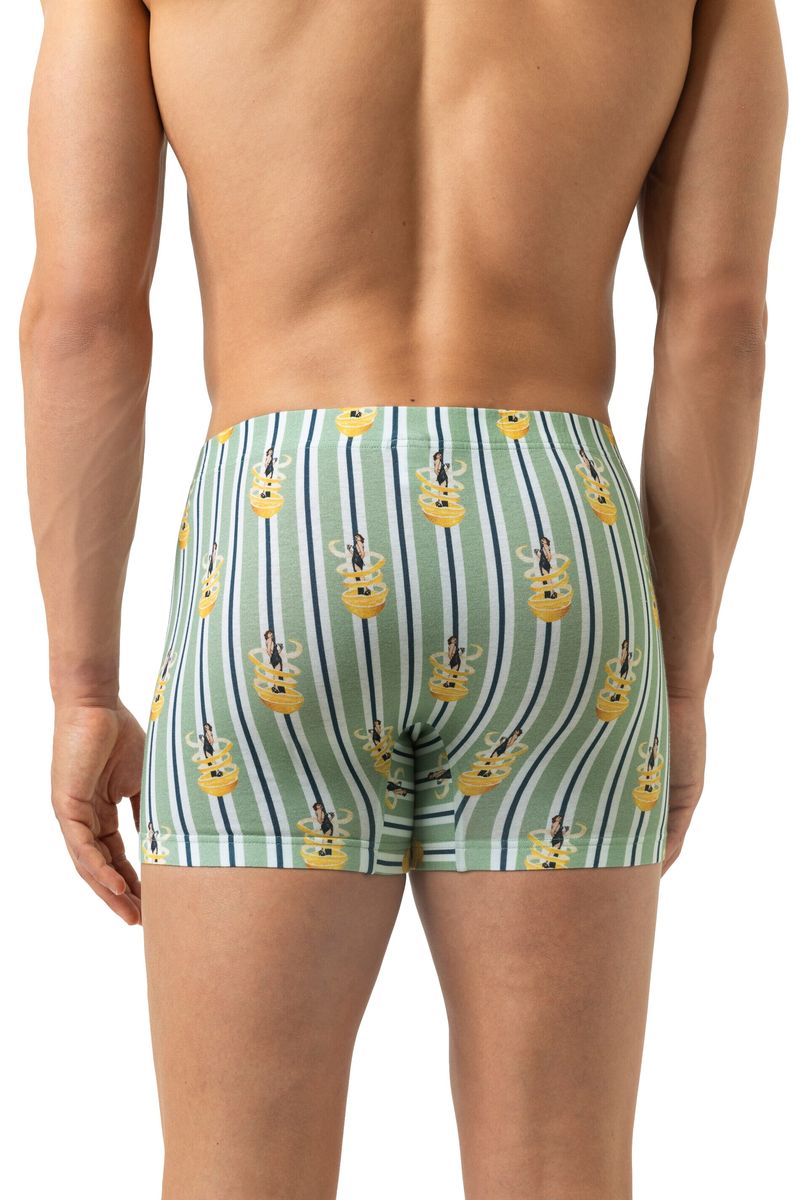 Gestreifte Boxershorts mit Pin-up-Print