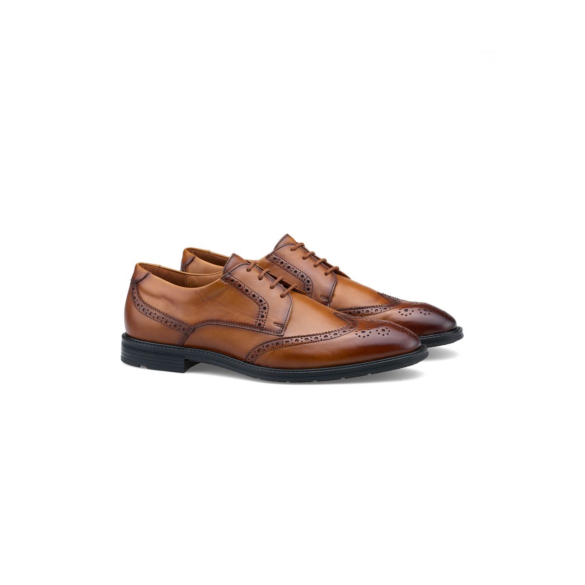 Elegante Wingtip Brogue Derbies