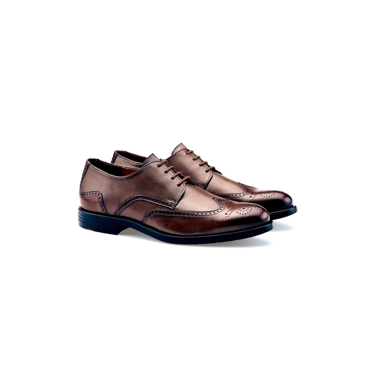 Elegante Brogue Wingtip Derbys
