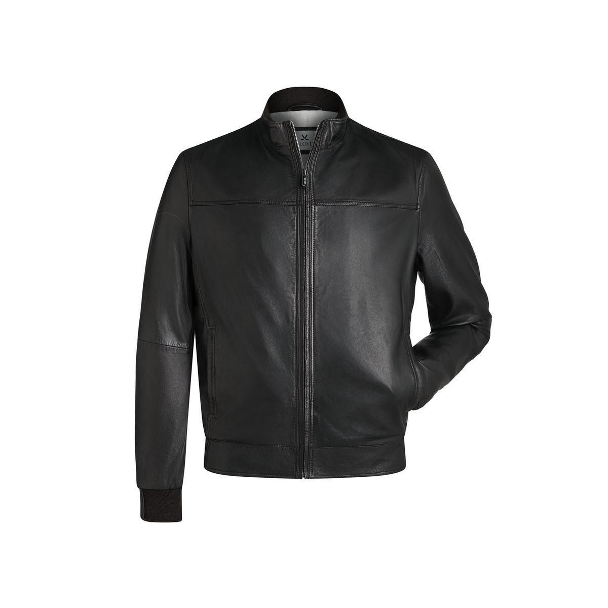 Klassischer Leder-Blouson mit Stehkragen
