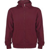 Klassische Kapuzenjacke mit Reißverschluss