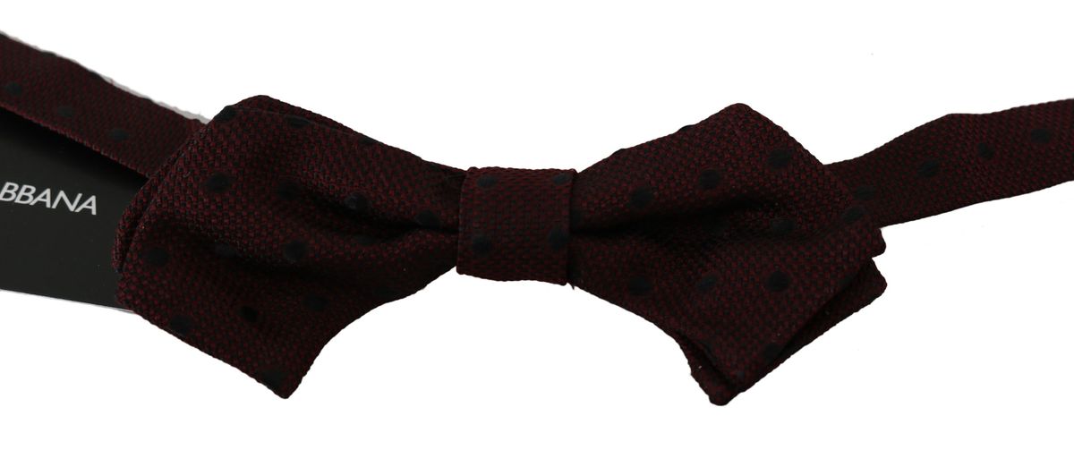 Elegante gepunktete Seidenfliege