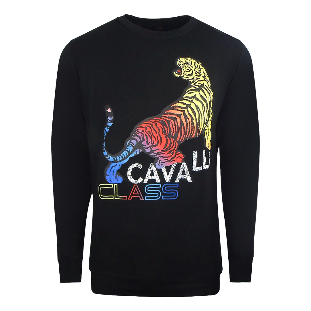 Sweatshirt mit auffälliger Regenbogen-Tigergrafik