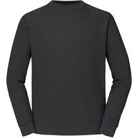 Raglan-Sweatshirt mit Rundhalsausschnitt