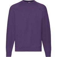Sweatshirt mit Raglanärmeln und Rundhalsausschnitt