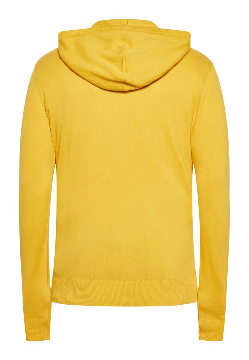 Minimalistische Kapuzenjacke mit Reißverschluss