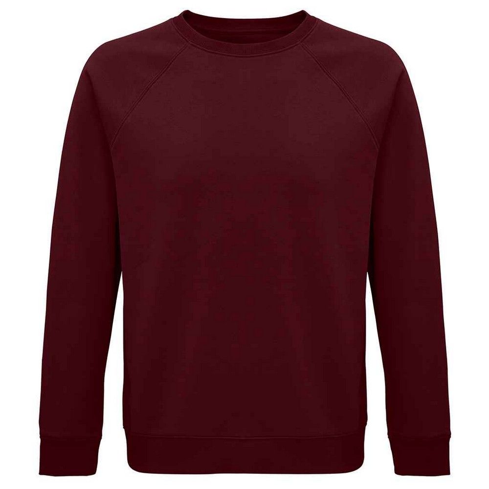 Klassisches Raglan-Sweatshirt mit Rundhalsausschnitt
