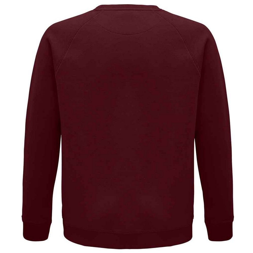 Klassisches Raglan-Sweatshirt mit Rundhalsausschnitt