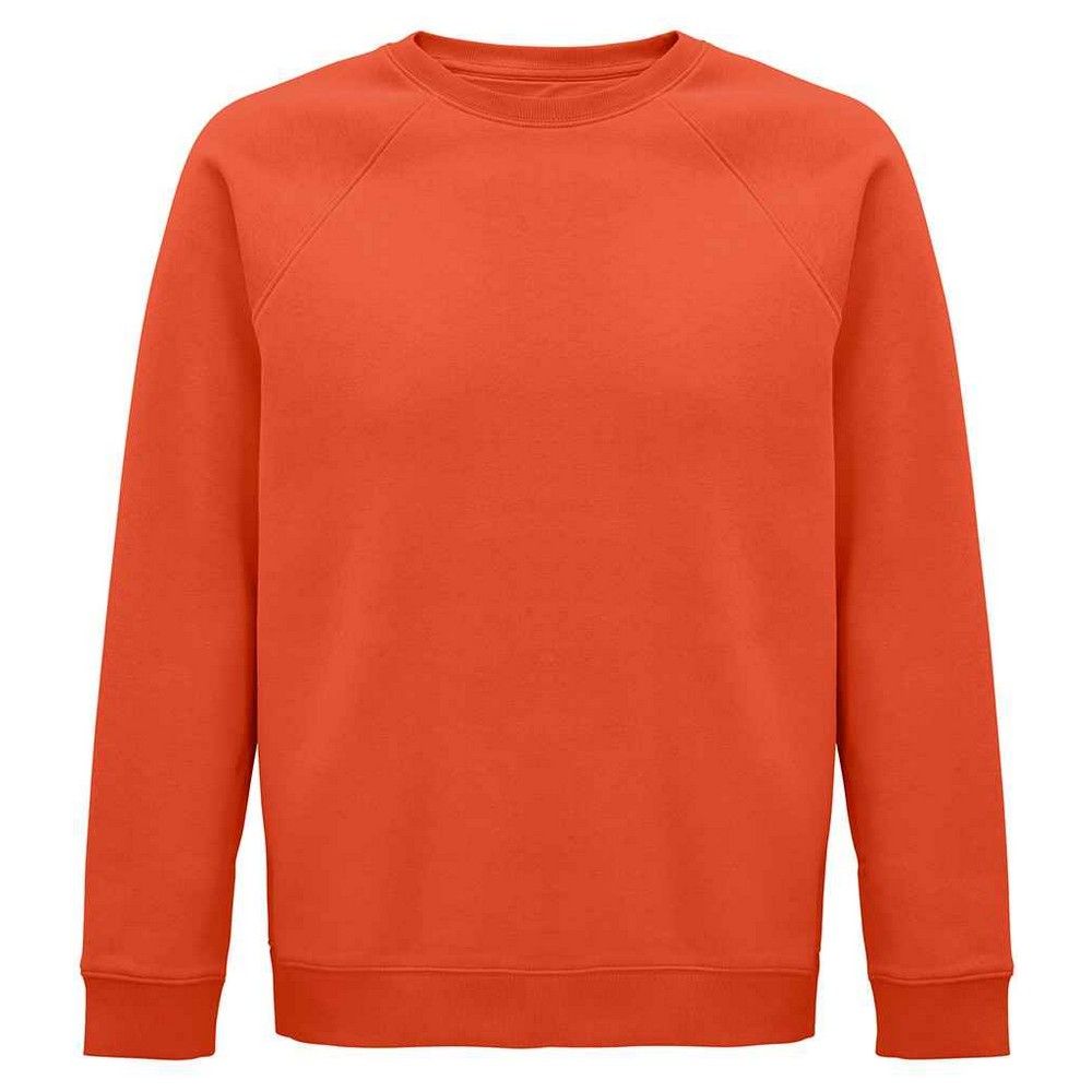 Klassisches Sweatshirt mit Raglanärmeln